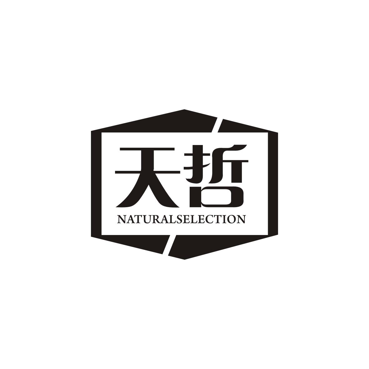 天哲    Natural selection