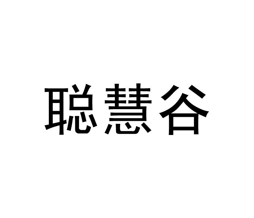 聪慧谷