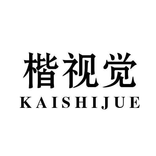 楷视觉