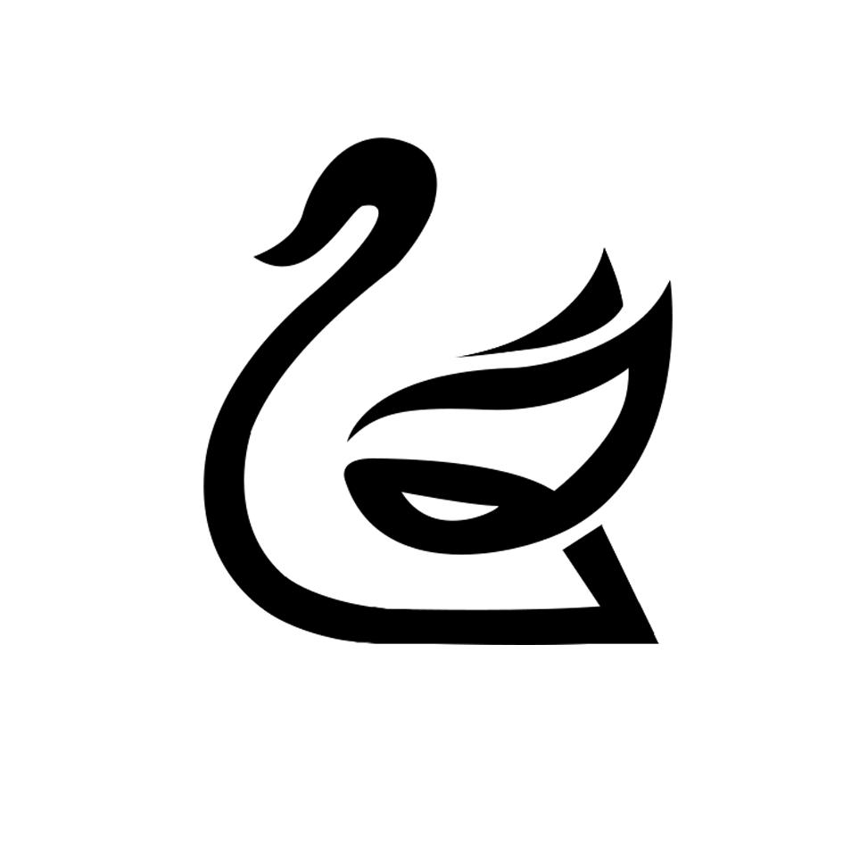 小天鹅