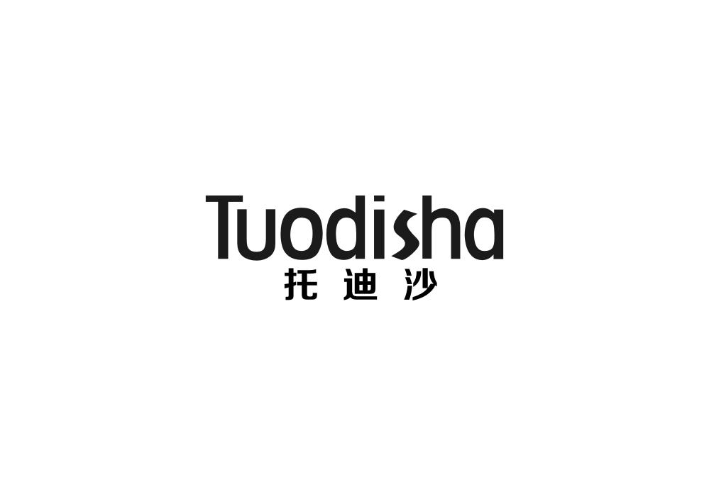 托迪沙