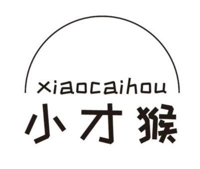 小才猴