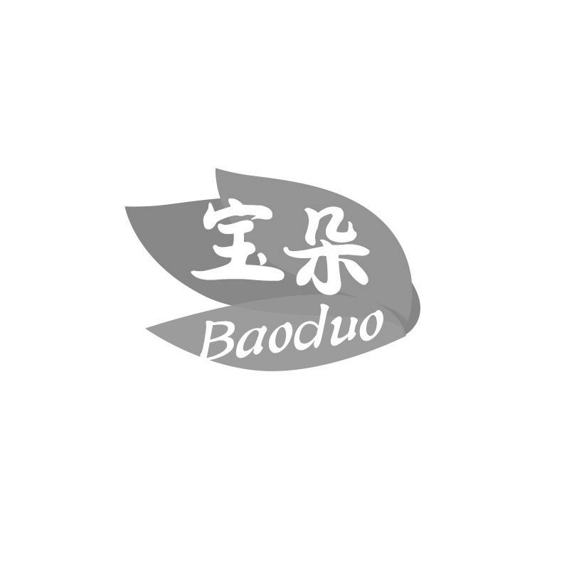 宝朵