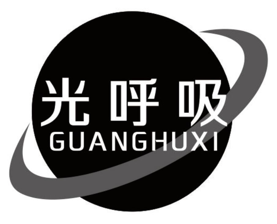 光呼吸 GUANGHUXI