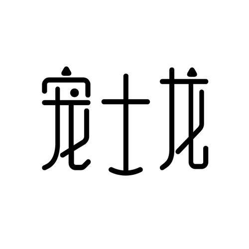 宠士龙 