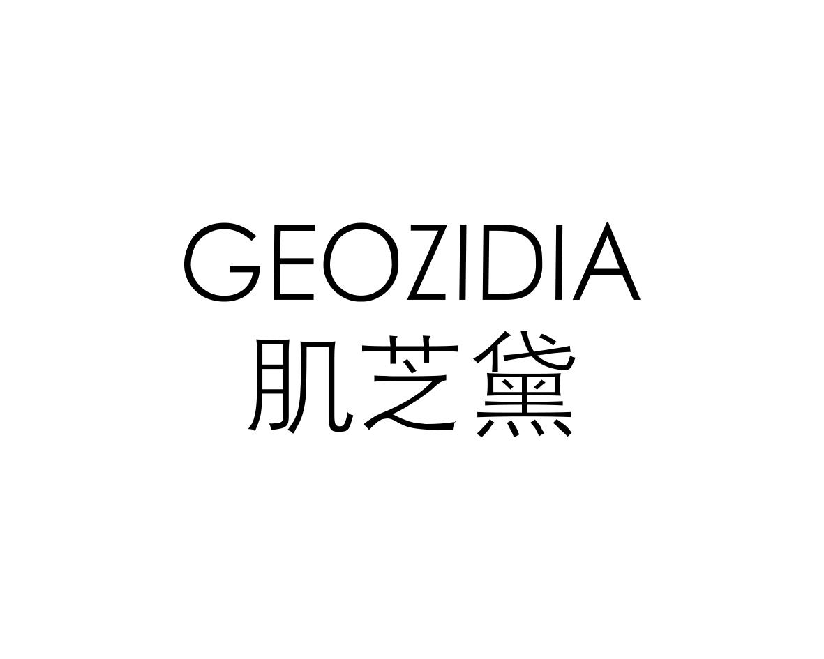 肌芝黛GEOZIDIA