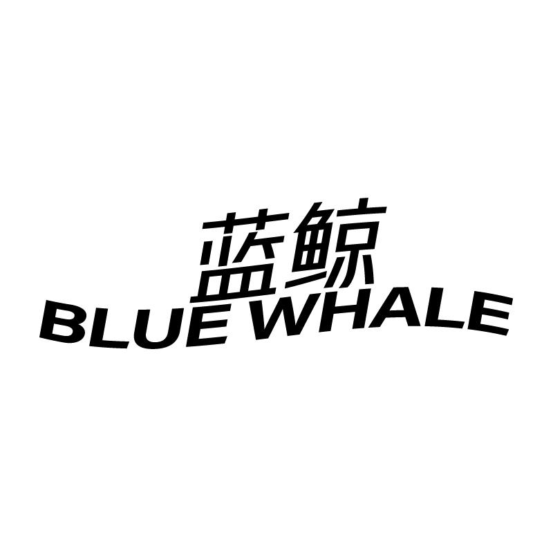 蓝鲸 BLUE WHALE