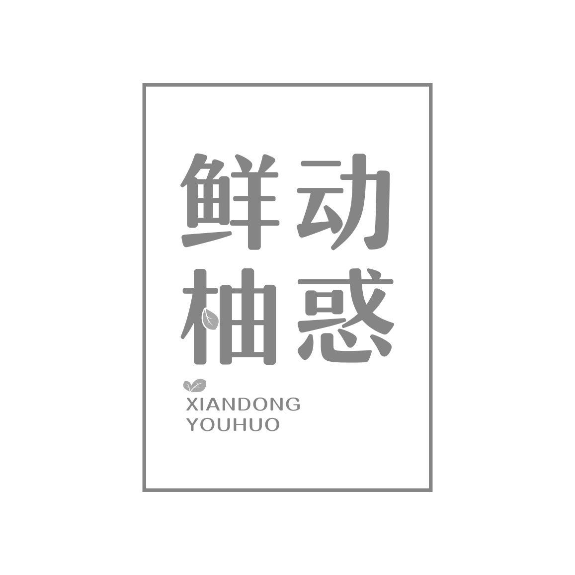 鲜动柚惑