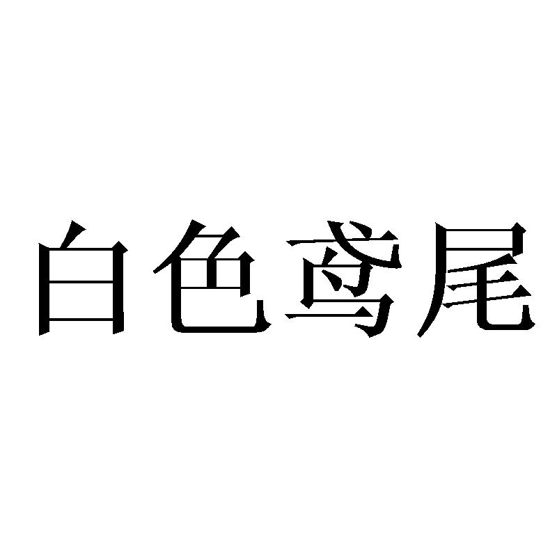 白色鸢尾