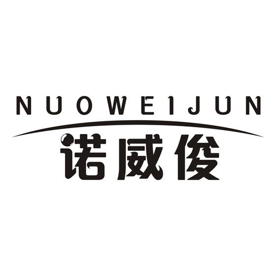 诺威俊