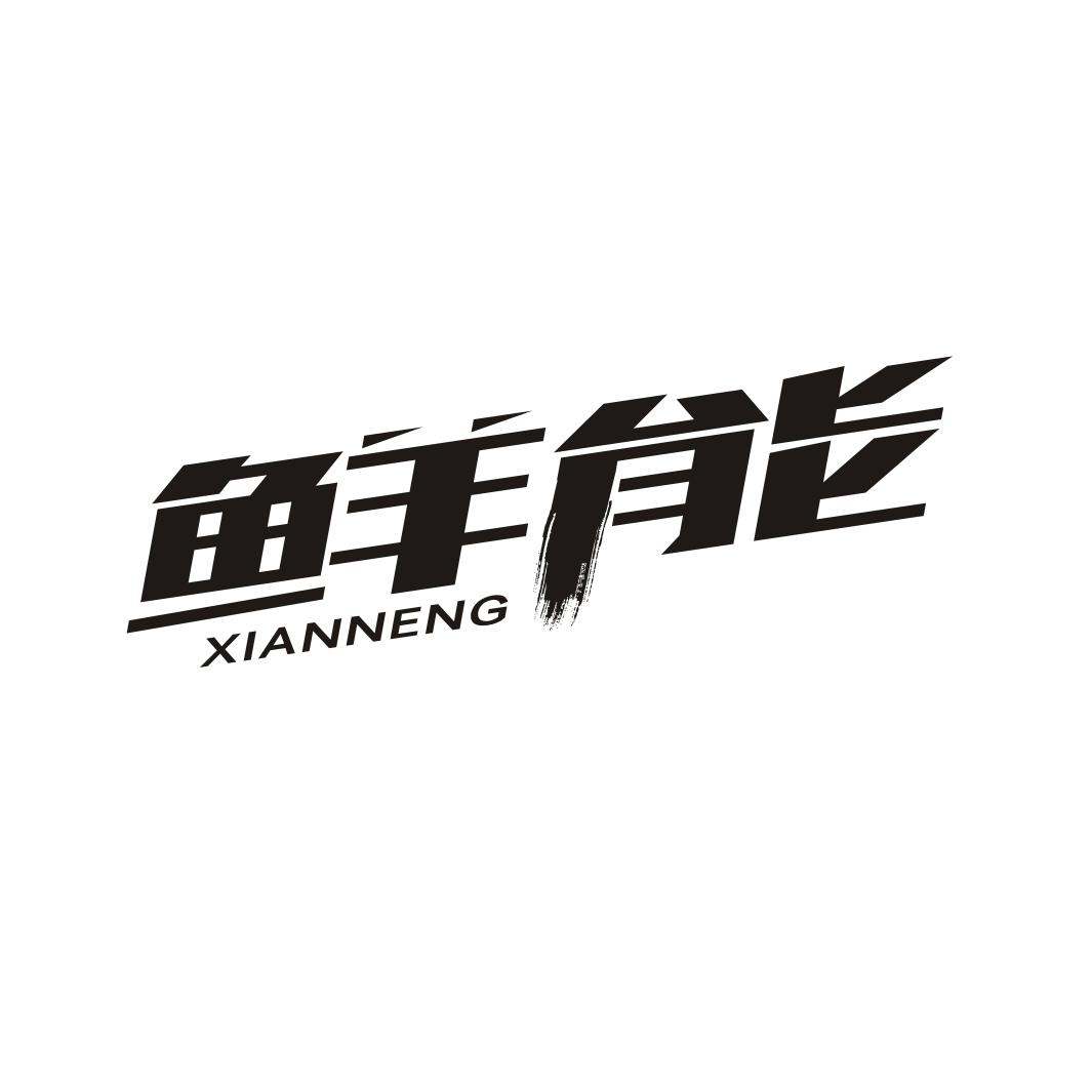 鲜能XIANNENG