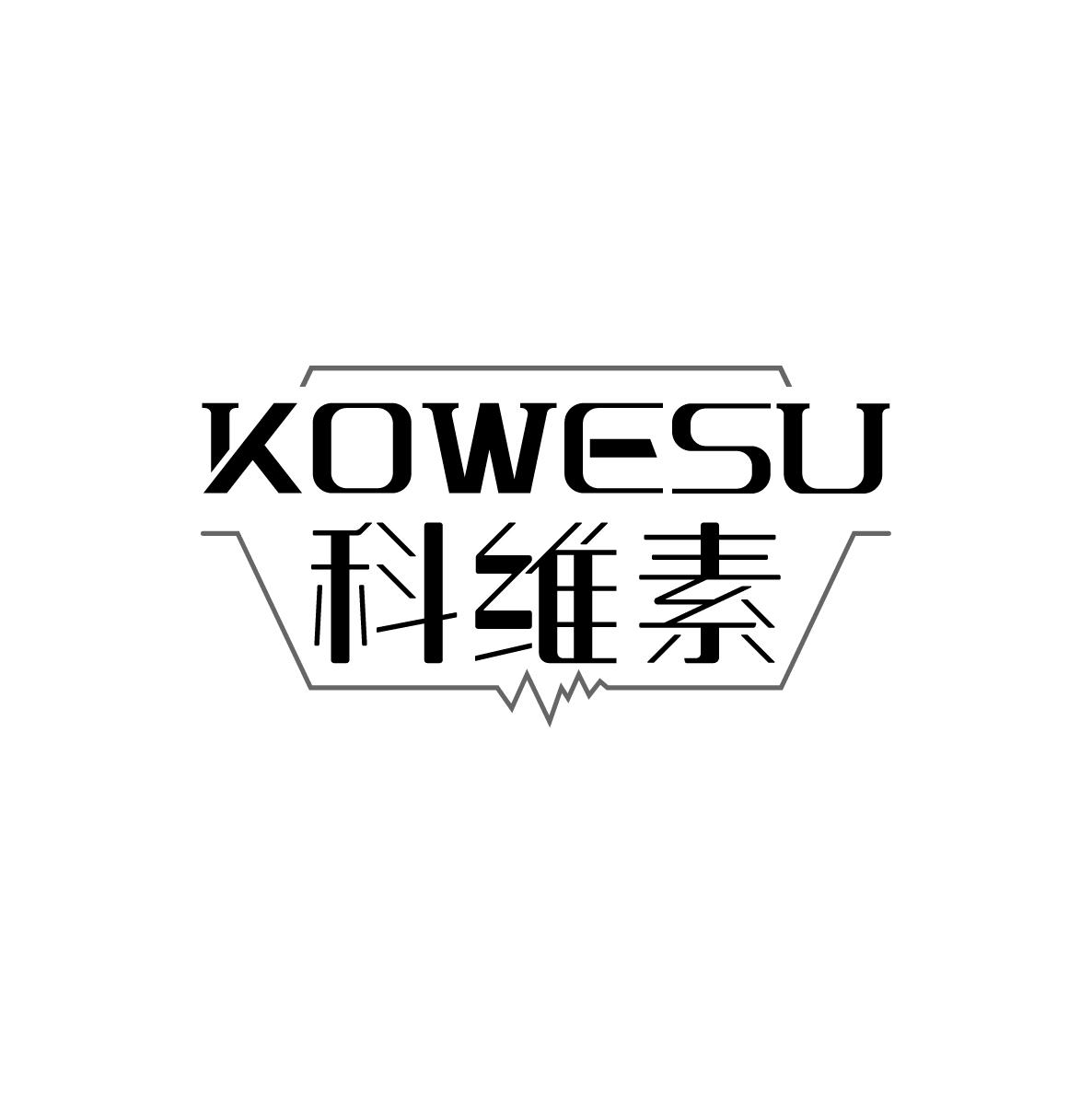 科维素KOWESU