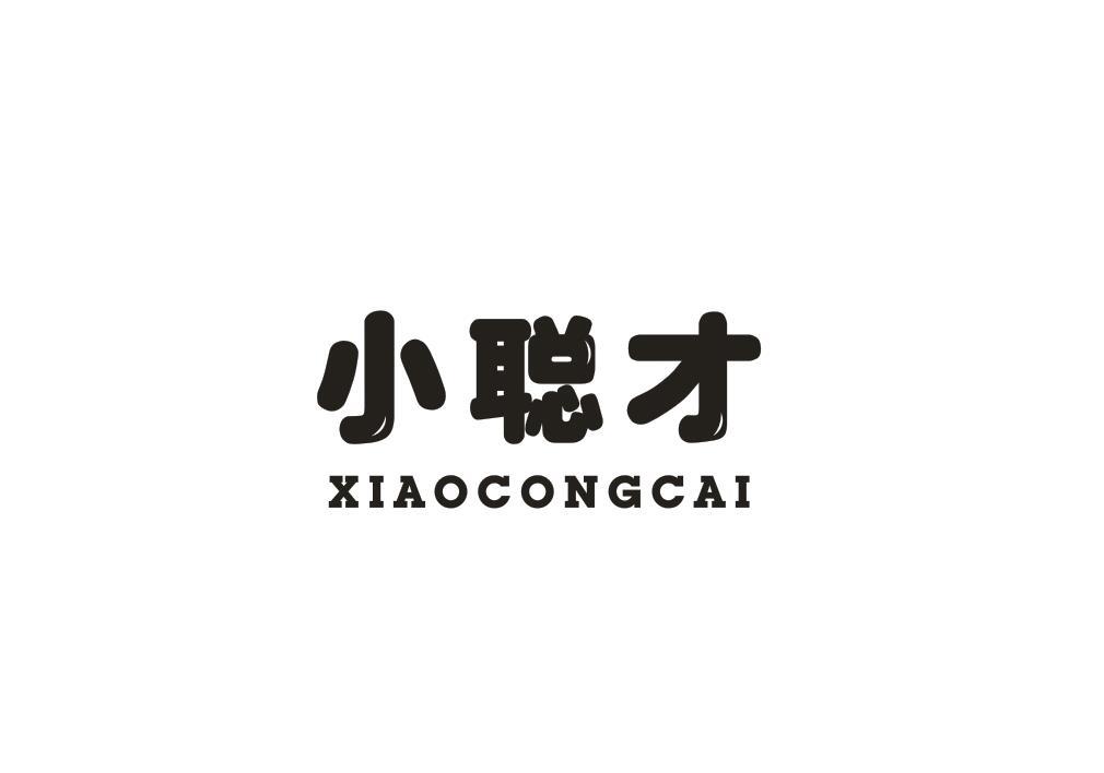 小聪才
