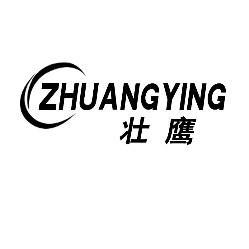壮鹰