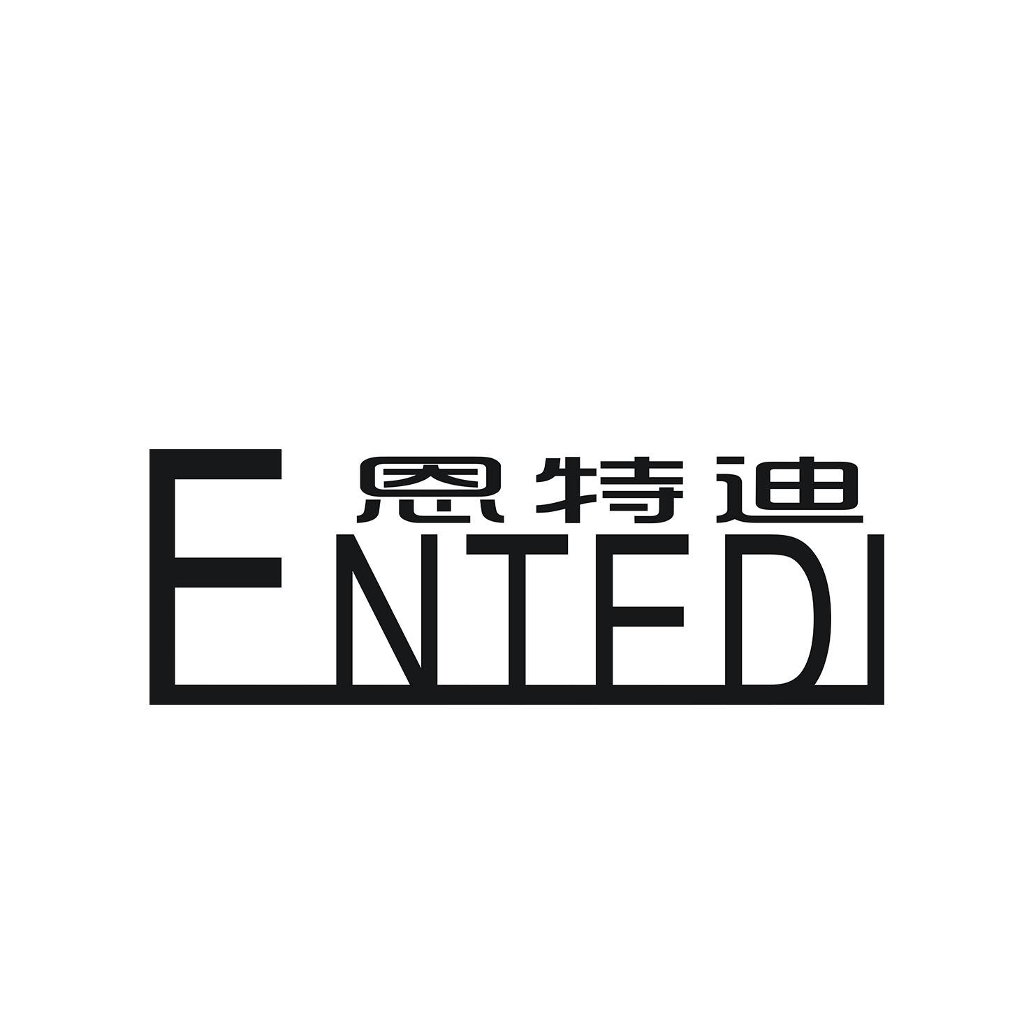 恩特迪