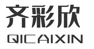 齐彩欣QICAIXIN