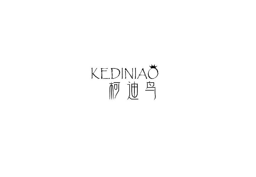 柯迪鸟