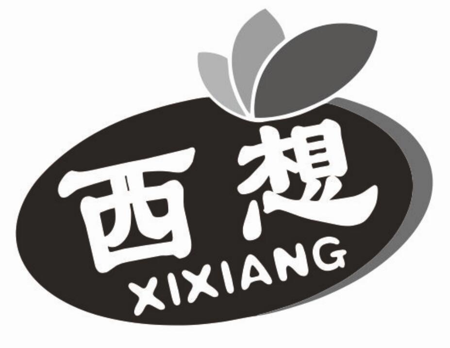 西想 XIXIANG