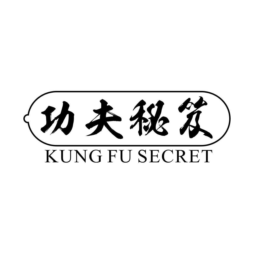 功夫秘笈KUNG FU SECRET