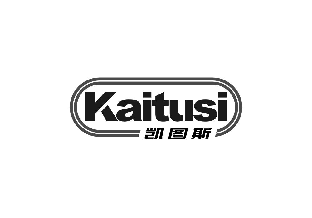 凯图斯