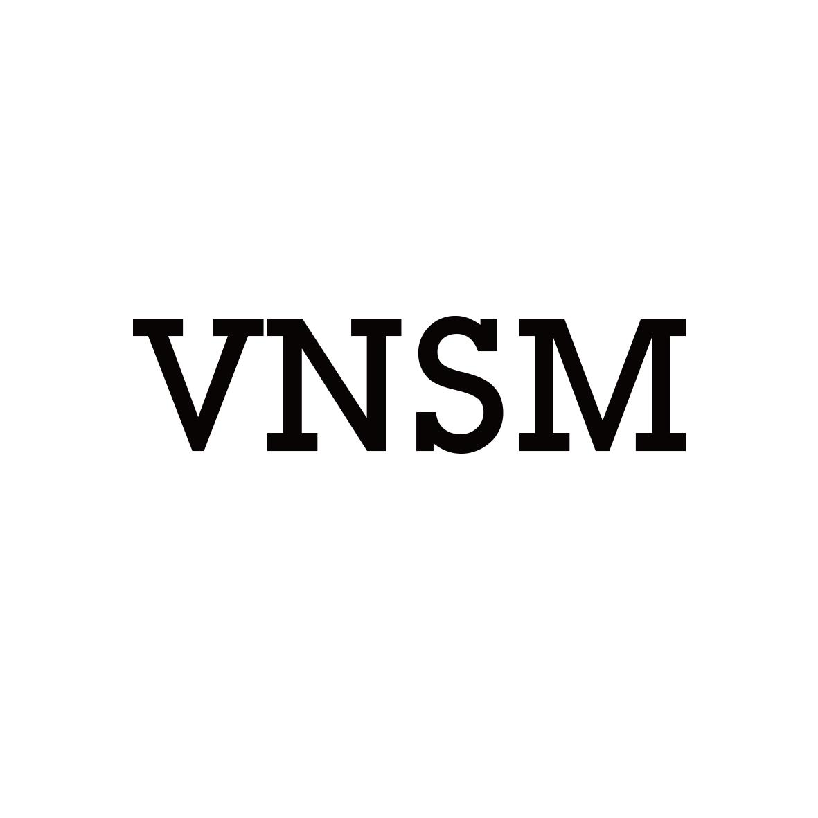 VNSM                            