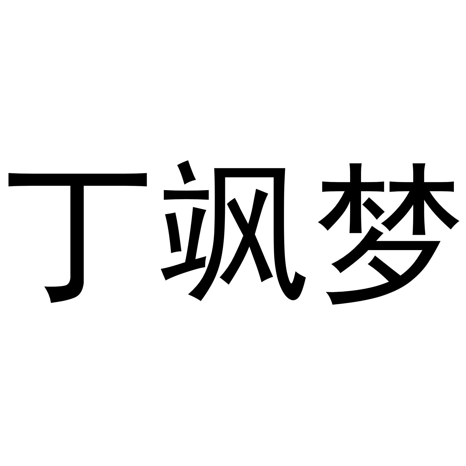 丁飒梦