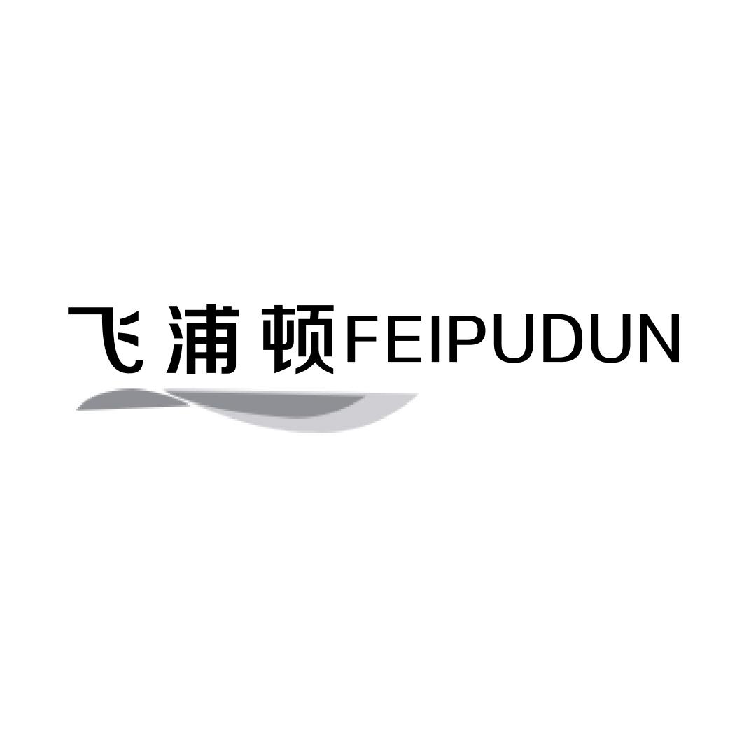 飞浦顿