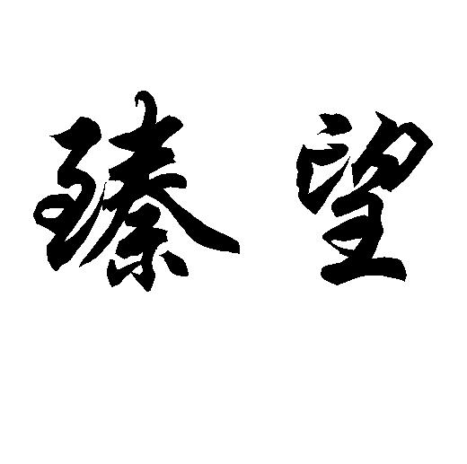 臻望