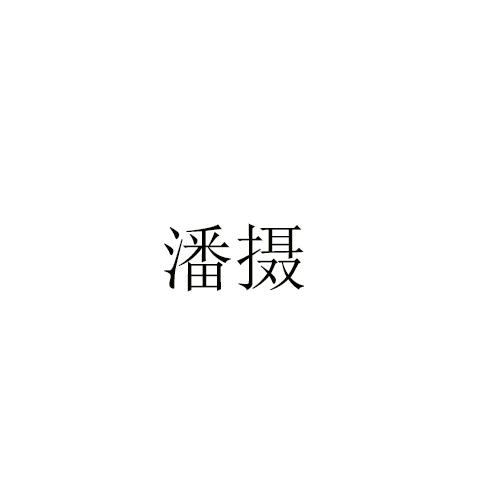 潘摄
