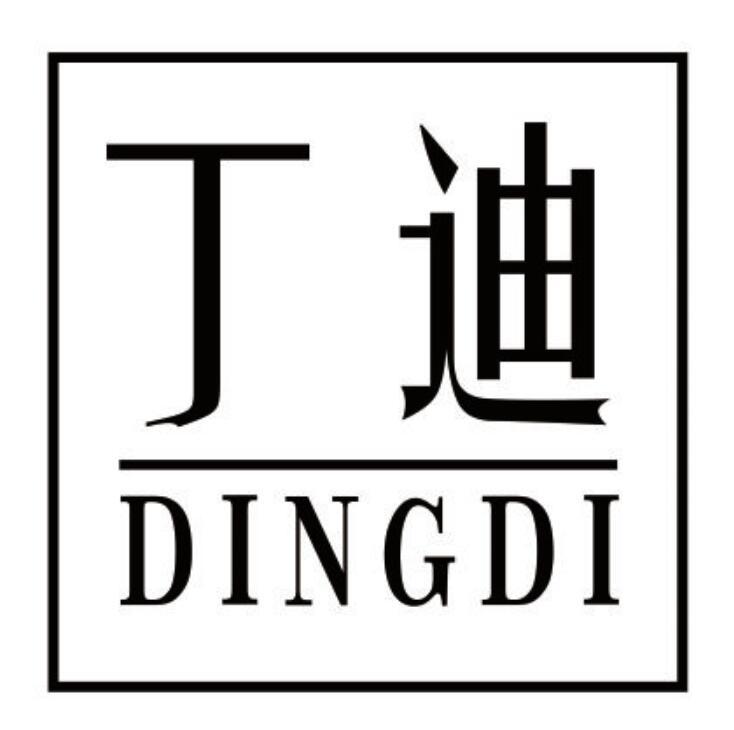 丁迪