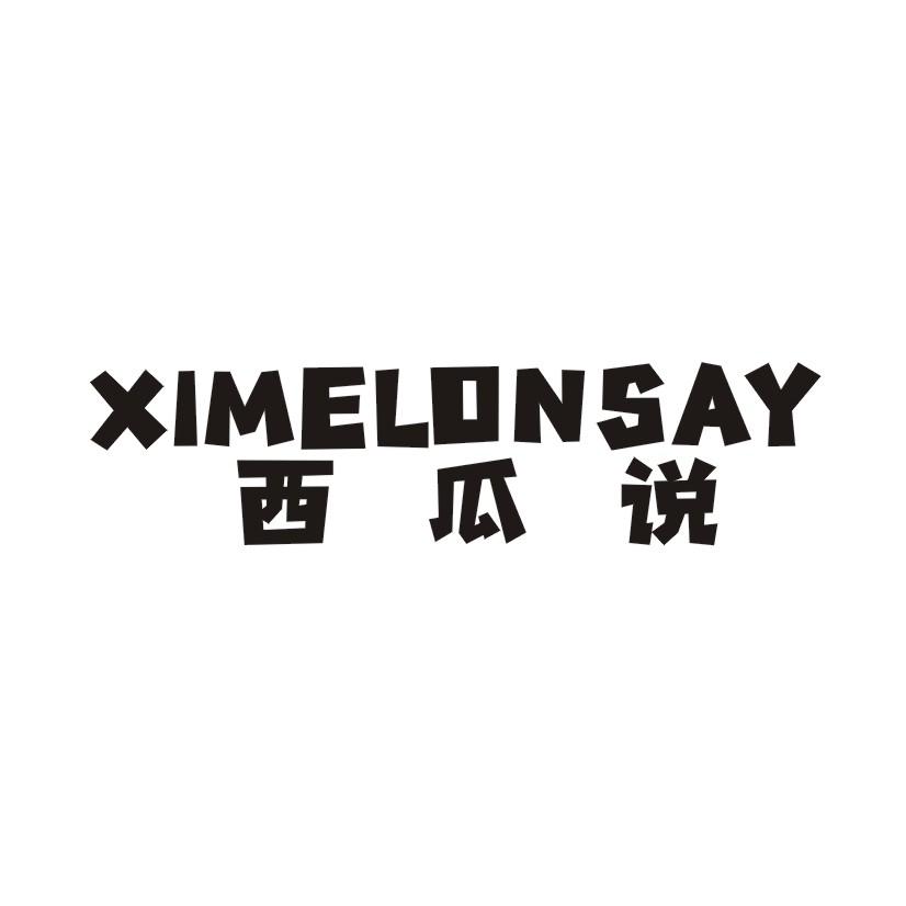 西瓜说 XIMELONSAY