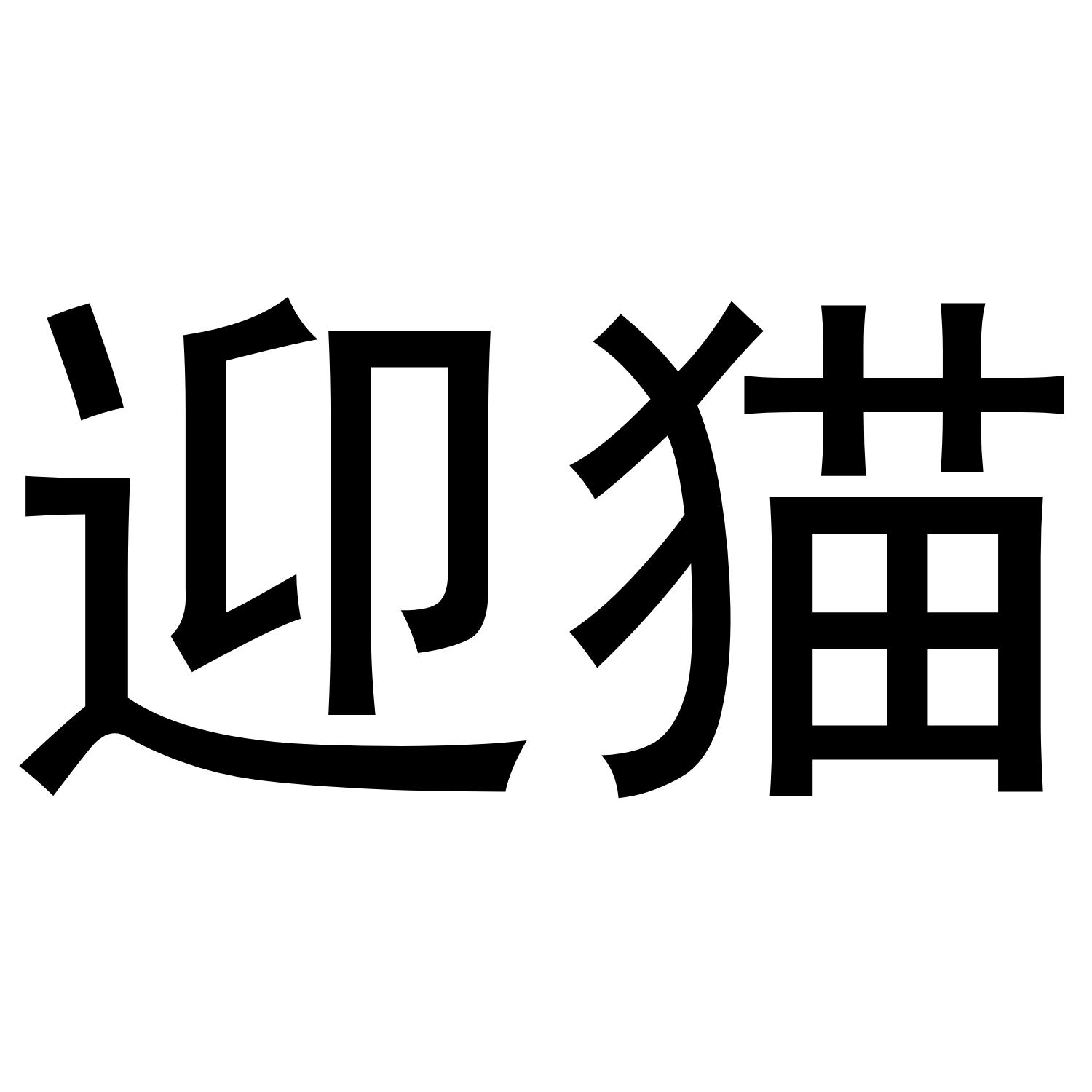 迎猫