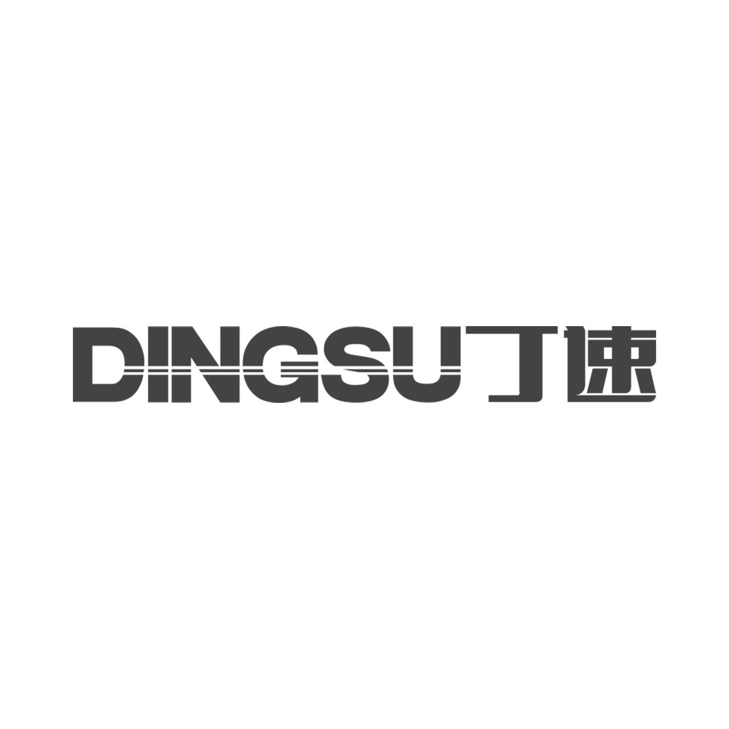 丁速
DINGSU