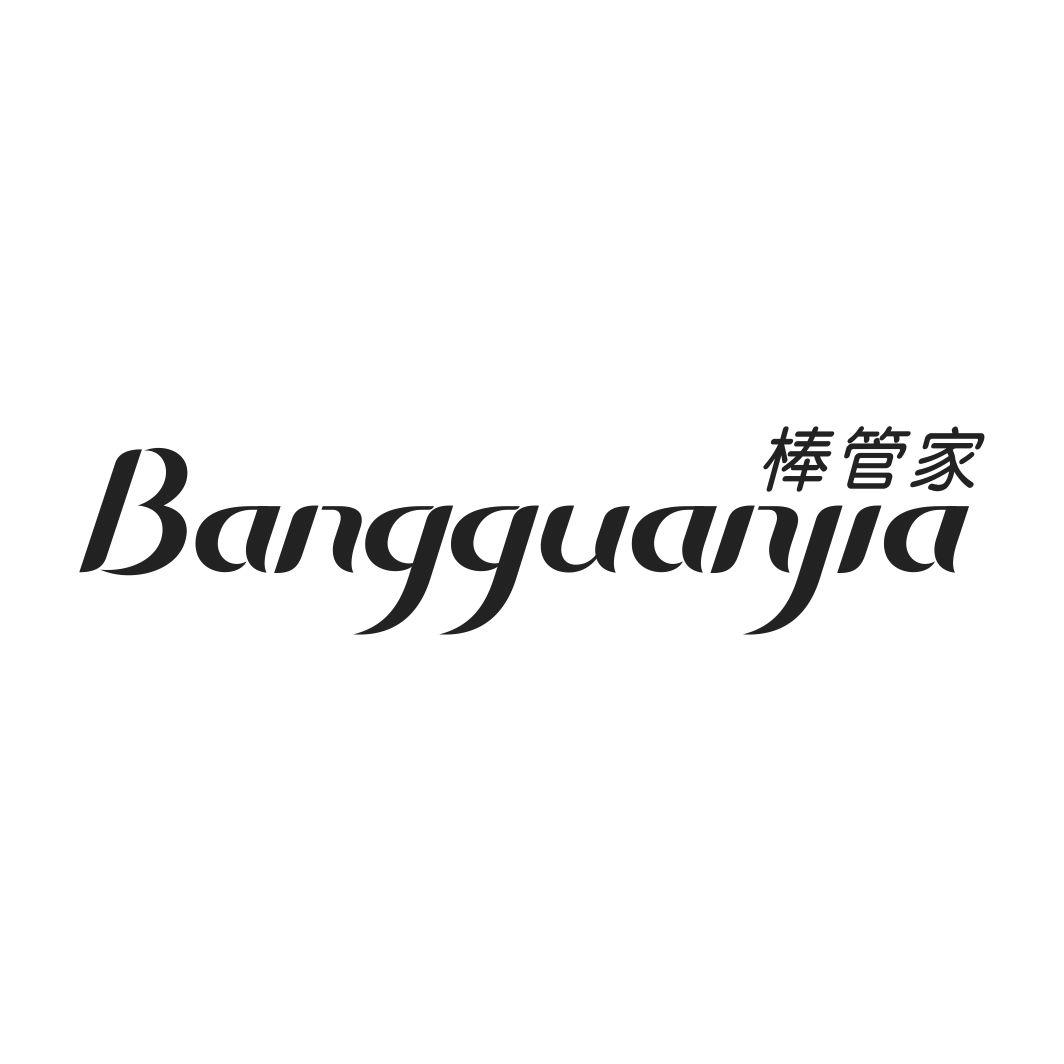 棒管家BANGGUANJIA