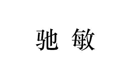 驰敏