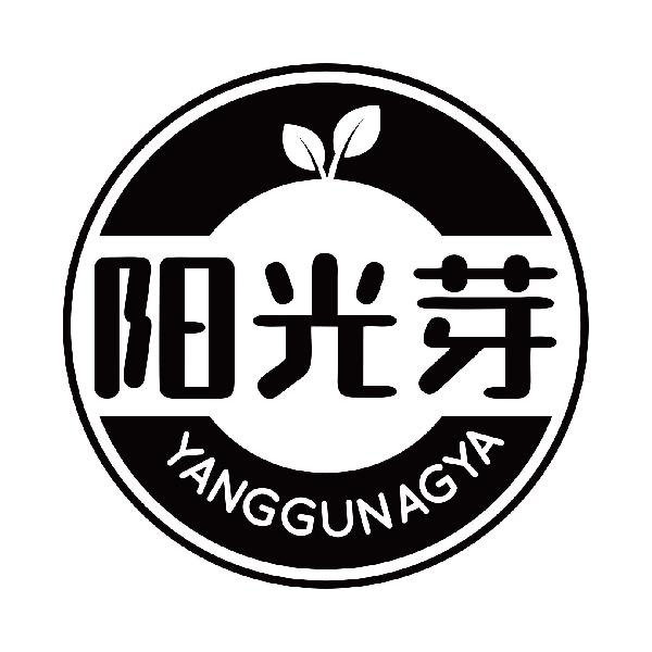 阳光芽
yangguangya