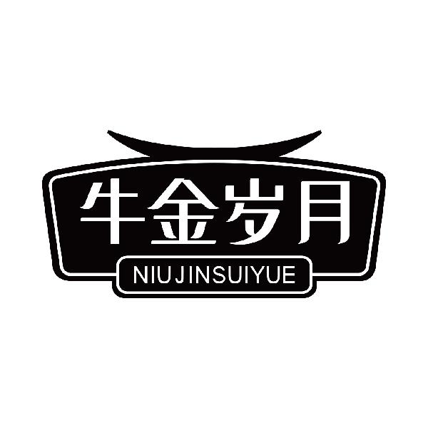 牛金岁月
niujinsuiyue