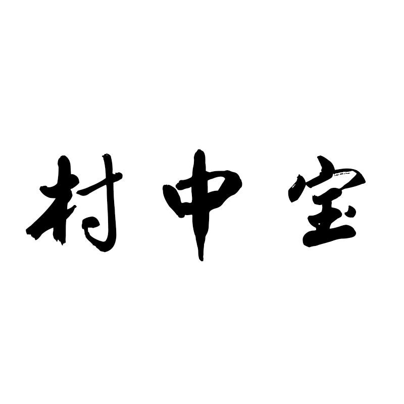 村中宝