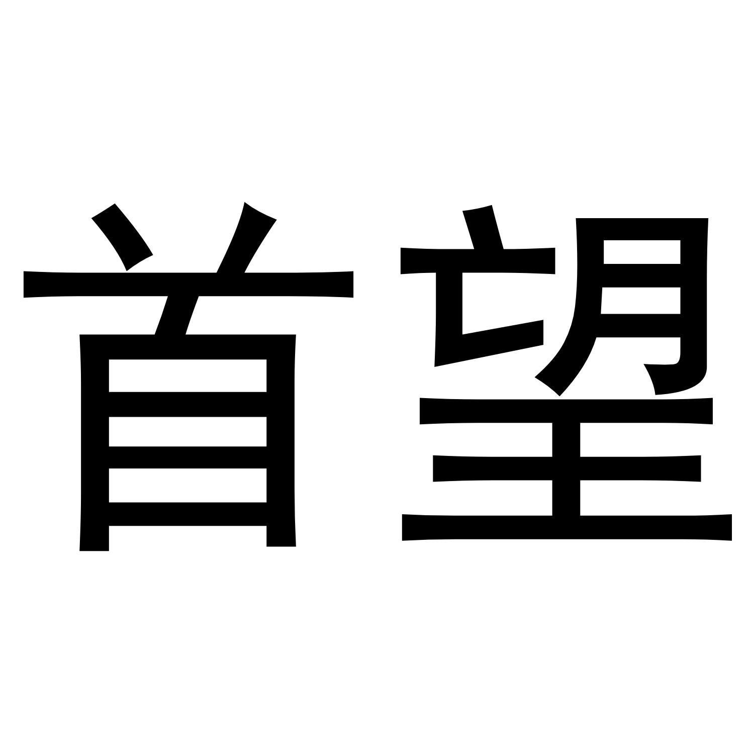 首望