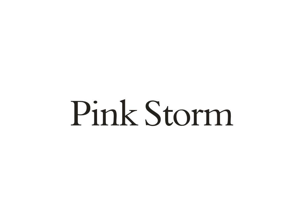 PINKSTORM