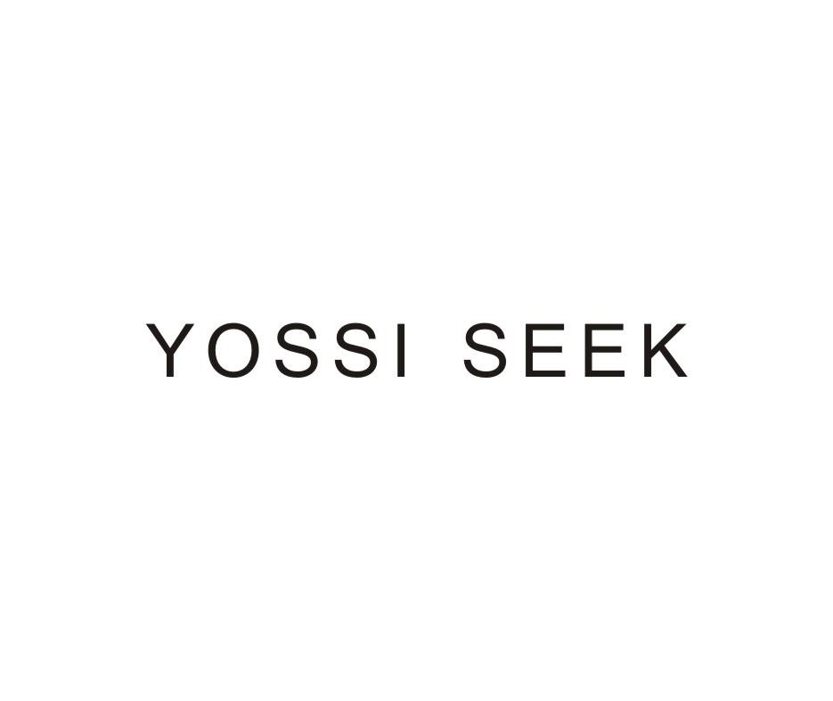 YOSSI SEEK