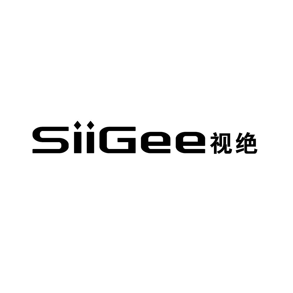 视绝