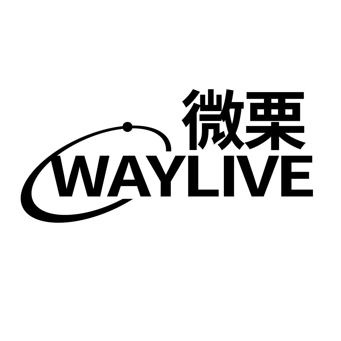 微栗
WAYLIVE