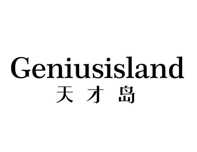 天才岛