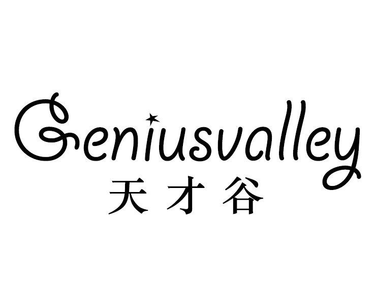 天才谷
