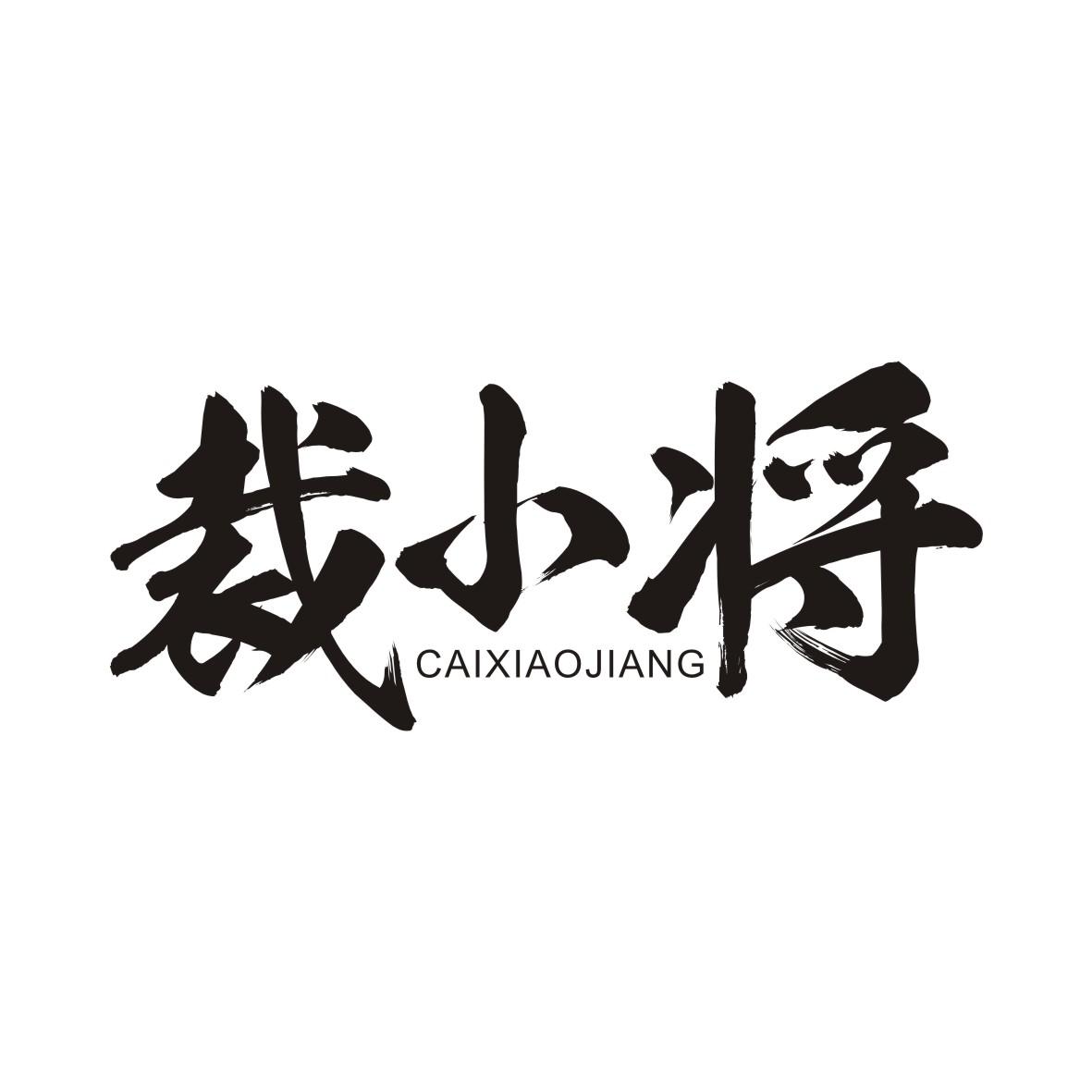 裁小将CAIXIAOJIANG