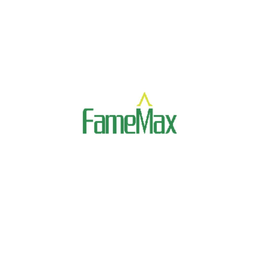 FAMEMAX