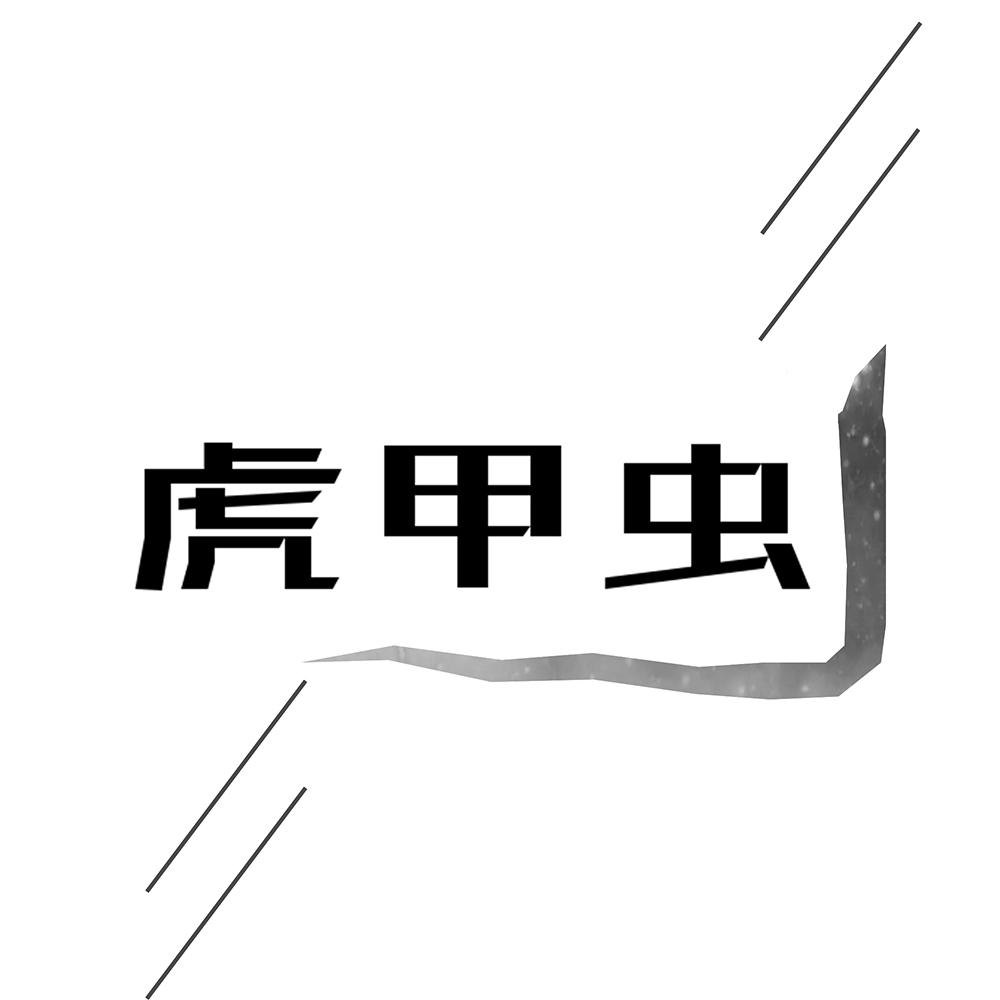 虎甲虫