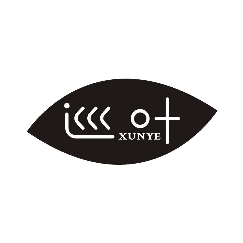 巡叶XUNYE