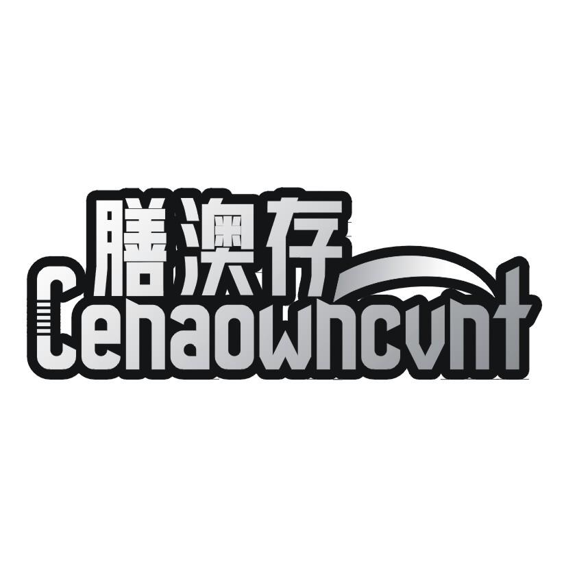 膳澳存 CENAOWNCVNT